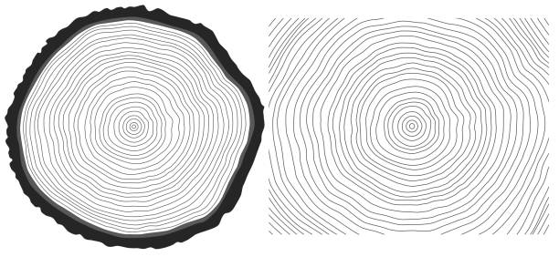 黒と白のベクトルを見た松木トランクとの木リング背景をカット - wood texture点のイラスト素材／クリップアート素材／マンガ素材／アイコン素材
