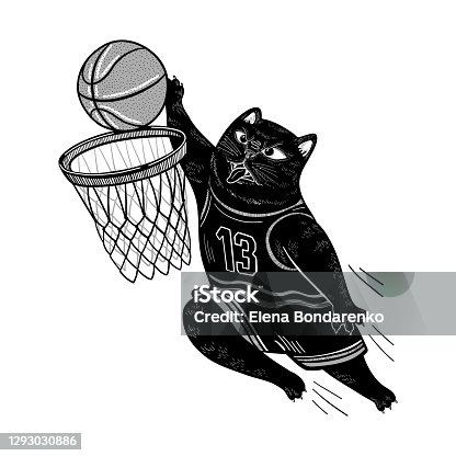istock Vector black cat playing basketball. The cat throws the ball into the basket. Flat cute illustration for print, design, card, postcard, poster. 1293030886