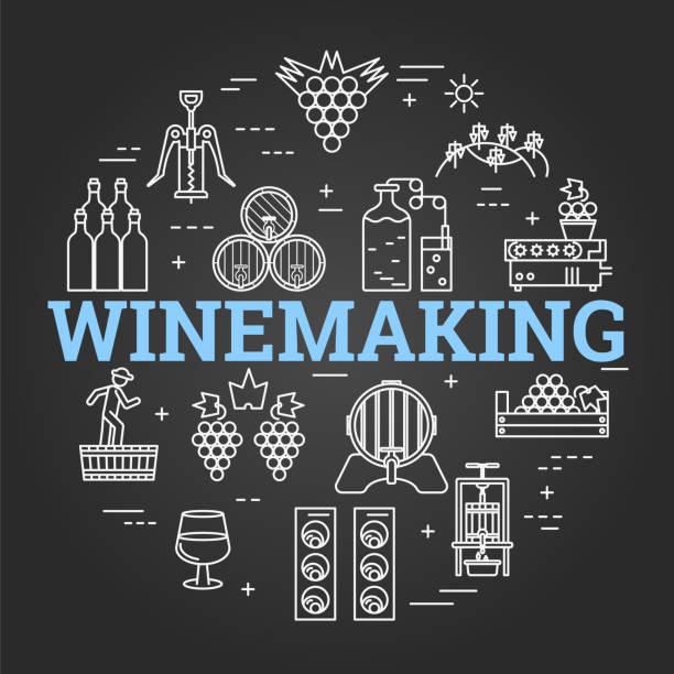 ilustrações de stock, clip art, desenhos animados e ícones de vector black linear round concept of winemaking - technology picking agriculture