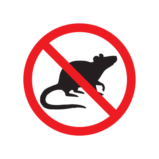Vector black rat mouse silhouette crossed in red circle Vector black rat mouse silhouette crossed in red circle isolated on white background. extermination of rodents sign rodent stock illustrations