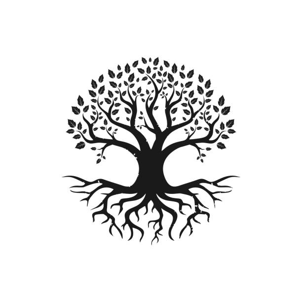 ilustraciones, imágenes clip art, dibujos animados e iconos de stock de vector árbol negro de icono en vivo, inspiración de diseño de logotipo aislado sobre fondo blanco - arbol de la vida