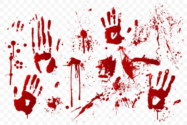 Vector blood stain and bloody handprints isolated on transparent background. Red paint splashes. Crime scene. Vampire bite. Halloween decoration element. Horror backdrop. Vector illustration.  crime scene stock illustrations