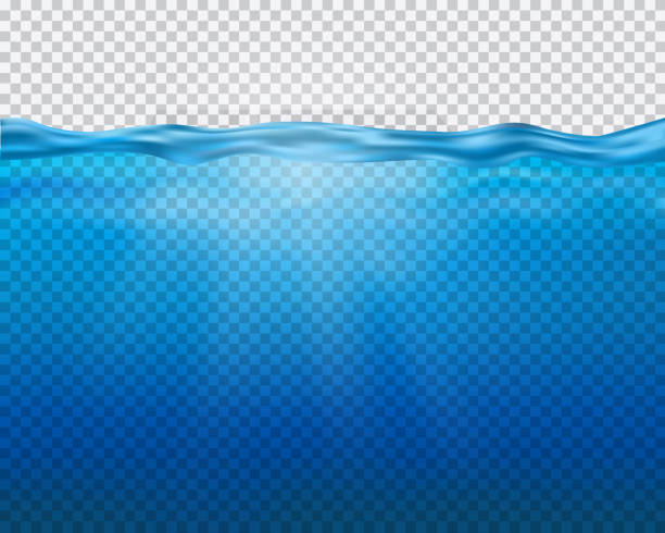 Vector blue underwater view with sun rays and waves isolated on transparent background Vector blue underwater view with sun rays and waves isolated on transparent background standing water stock illustrations