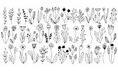 linear vector botanical collection of floral and herbal elements. isolated vector plants, branches and flowers in ink sketch design. hand drawn botanical doodle set for cards, invitations, logo, diy projects, prints and posters in line art.