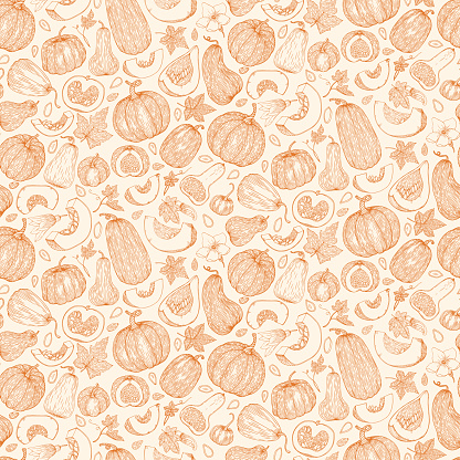 Vector botanical seamless pattern with pumpkins, flowers and leaves in sketch style. Flat pastel background of pumpkins, squash and seeds. Cute autumn texture for thanksgiving, harvest and halloween.