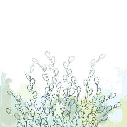 Vector bouquet with outline Willow twigs in pastel blue and green on the textured white background.