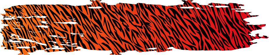 Vector Brush stroke with Tiger stripe pattern. Tiger background.