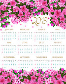 2019 calendar of spring flowers. Vector floral design of blooming garden roses and flourish hibiscus or clover and crocus blossoms for flowery 2019 monthly calendar