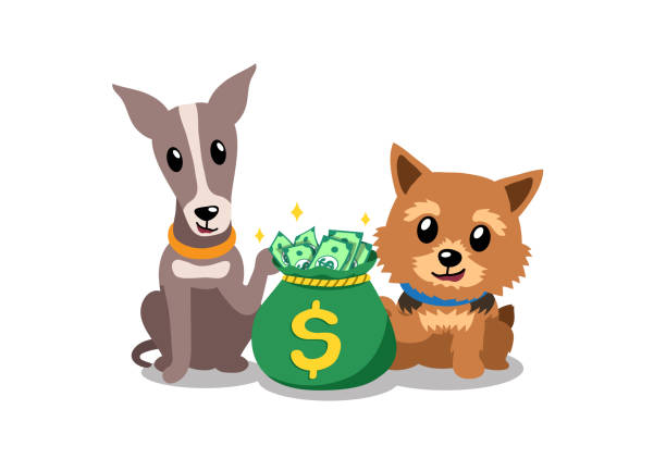 ilustrações de stock, clip art, desenhos animados e ícones de vector cartoon character norwich terrier and greyhound dog with money bag - norwich