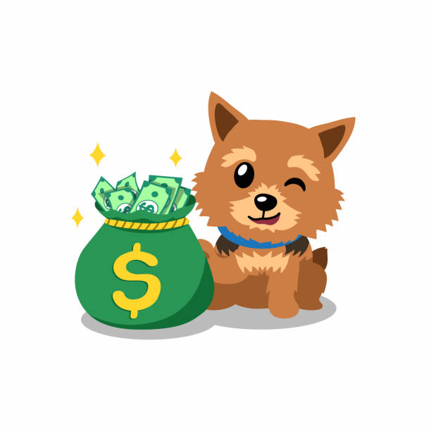 ilustrações de stock, clip art, desenhos animados e ícones de vector cartoon character norwich terrier dog with money bag - norwich