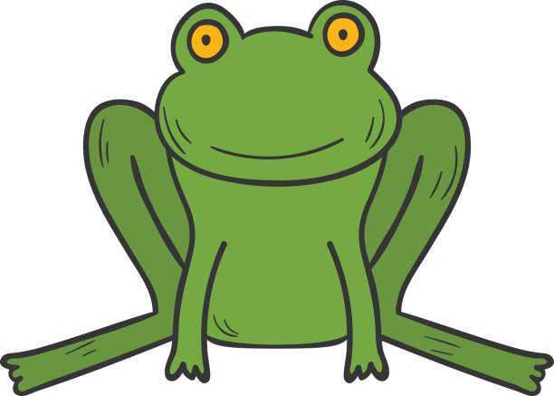 illustrazioni stock, clip art, cartoni animati e icone di tendenza di rana verde disegnata a mano con cartone animato vettoriale - ranocchia
