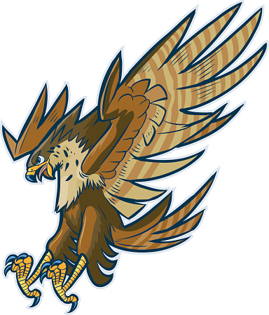 Vector Cartoon Hawk Eagle or Falcon Diving or Swooping