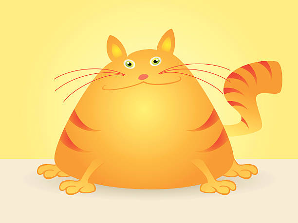  Fat  Cat  Illustrations Royalty Free Vector Graphics Clip 
