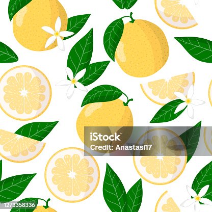 istock Vector cartoon seamless pattern with Citrus Sweetie exotic fruits, flowers and leafs on white background 1273358336