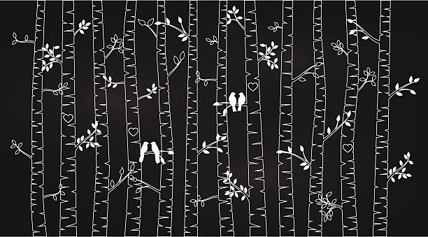 ベクトル黒板まで、アスペンの白樺の木々 - wood texture点のイラスト素材／クリップアート素材／マンガ素材／アイコン素材