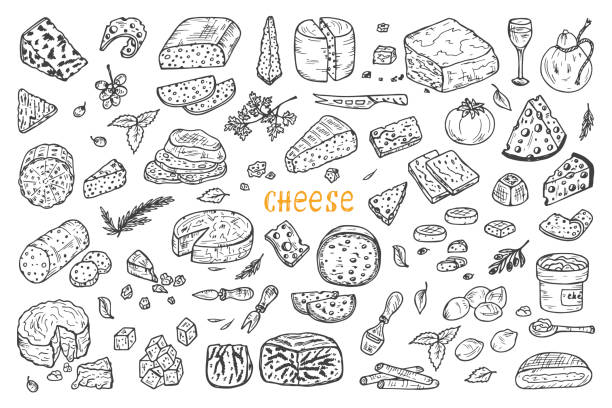 Vector Cheese Set. Hand Drawn Doodle various types of cheese Cheese Set. Hand Drawn Doodle various types of cheese: roquefort, parmesan, goat cheese, mozzarella, smoked gouda, blue cheese. Cheese knifes. Vector Cheese. cheese drawings stock illustrations