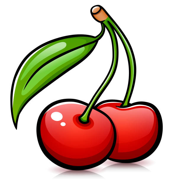 Vector cherries isolated design drawing Vector illustration of cherries isolated design drawing cherry stock illustrations