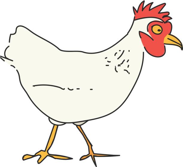 Dessin Poulet Roti Vectoriels et illustrations libres de Dessin Poulet Roti Vectoriels et illustrations libres de