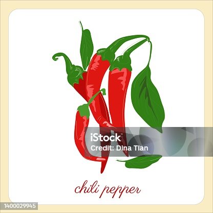 istock Vector chili peper branch. 1400029945