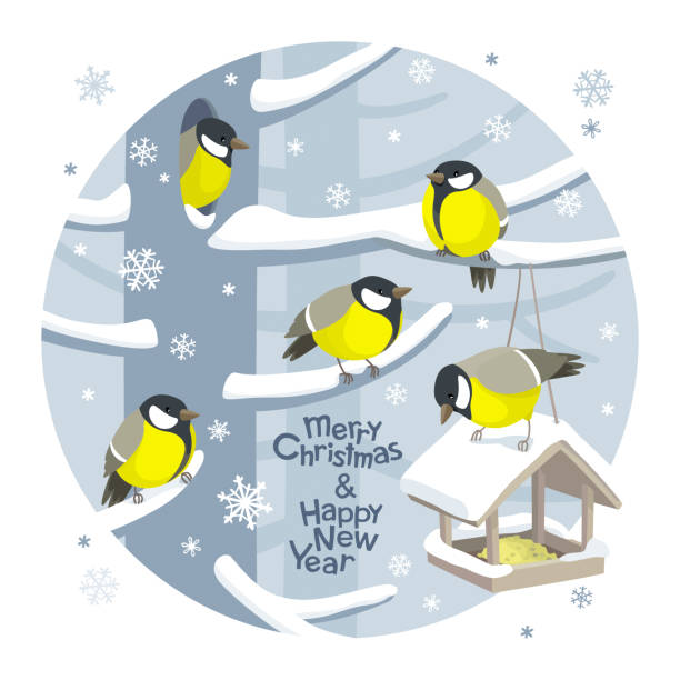 bildbanksillustrationer, clip art samt tecknat material och ikoner med vector jul fåglar och fågelbordet jul bild - talgoxe