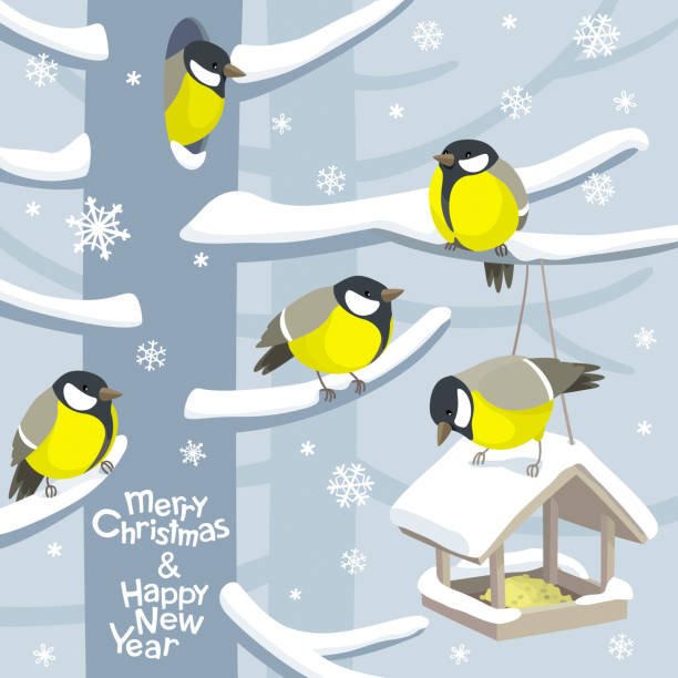 bildbanksillustrationer, clip art samt tecknat material och ikoner med vector jul fåglar och birdfeeder jul bild - talgoxe