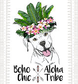 Vector close up portrait of pitbull dog, wearing the exotic flower crown. Hand drawn domestic dog illustration. Tropical Hawaiian boho chic decoration, with palm leaves and flowers. Aloha tribe