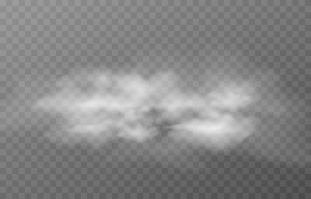 煙や霧のベクトル雲。孤立した透明な背景上の霧または雲。煙、霧、雲png。 - ゆげ点のイラスト素材／クリップアート素材／マンガ素材／アイコン素材