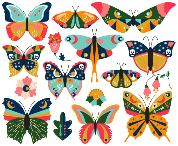 Vector Collection Of Bohemian Stylized Butterflies And Moths