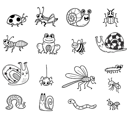 Vector Collection of cute insects. Linear hand drawn doodle. Isolated decorative characters frog, snail, beetles and spider, dragonfly and bee, ladybug and mosquito for design, decor, decoration