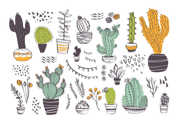 Vector collection of hand drawn different cactus shapes and abstract doodle elements isolated on white background. Vector collection of hand drawn different cactus shapes and abstract doodle elements isolated on white background. Trendy sketch style. Perfect for pattern, decor, card, packaging, banner, ads, print. cactus backgrounds stock illustrations