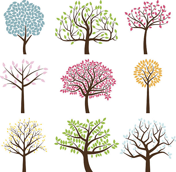 ilustraciones, imágenes clip art, dibujos animados e iconos de stock de colección de vectores de siluetas de árbol - family tree