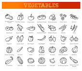 Basic vegetables thin line icon set