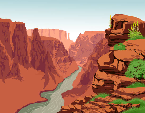 illustrazioni stock, clip art, cartoni animati e icone di tendenza di vector colorado nel parco nazionale del grand canyon - canyon