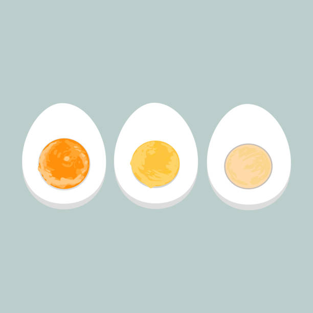 Vector colorful illustration of boiled eggs Vector colorful illustration of boiled eggs of various degrees. boiled egg stock illustrations