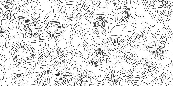 Vector contour map. Topographic scheme background. Illustration terrain.