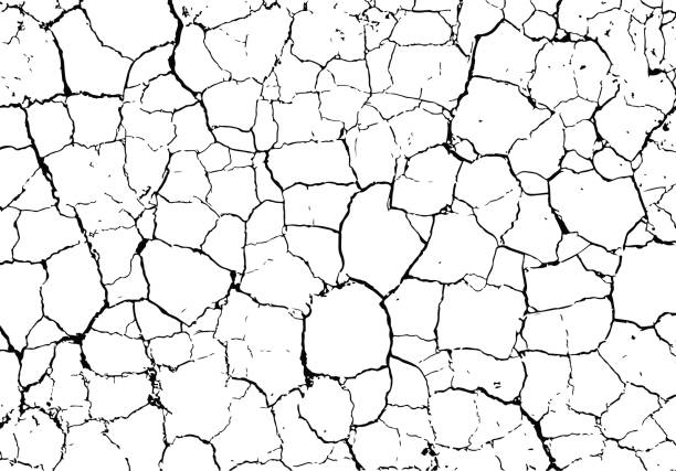 cracks free brushes 251 free downloads