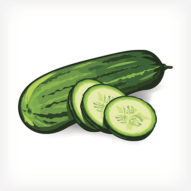 Vector Cucumbers vector art illustration