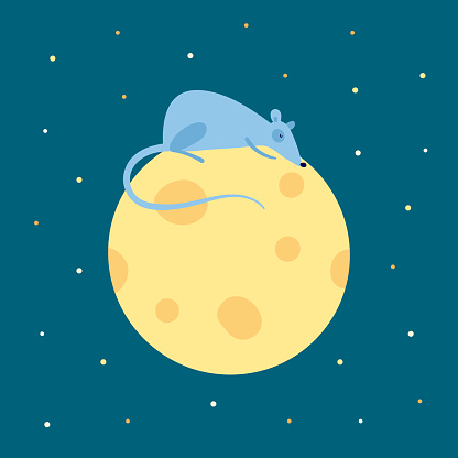 Vector cute flat mouse character illustration. China New Year symbol. Rat sleeping on cheese moon bed on night background with stars. Design element for banner, poster, card, invitation.