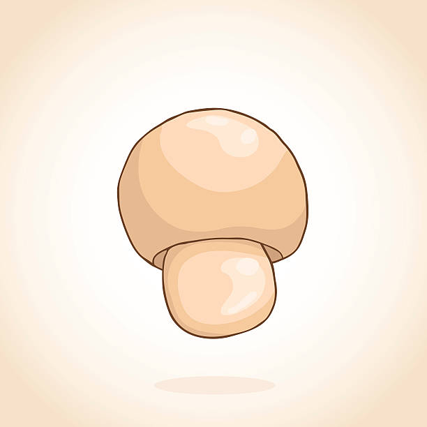 Common Mushroom イラスト素材 Istock