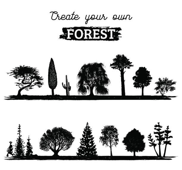 stockillustraties, clipart, cartoons en iconen met vector verschillende bomen silhouetten. maak uw eigen forest. zwarte bos pictogrammen instellen. grove constructor. - cipres