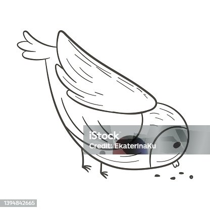 istock Vector doodle illustration of cartoon cute bird pecking grain isolated on white. 1394842665