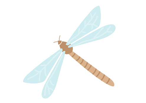Vector dragonfly in flat hand drawn style isolated on white background. Illustration with cute insects can be used to design cards, presentations, invitations.