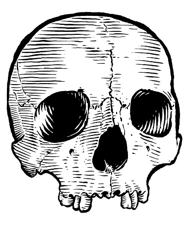 Simple, woodcut like illustration of human skull