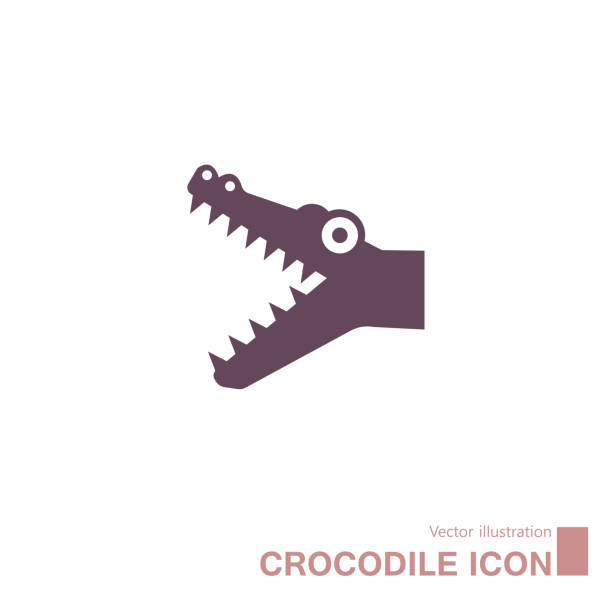 Vector drawn crocodile icon. Vector drawn crocodile icon. Isolated on white background. crocodile stock illustrations