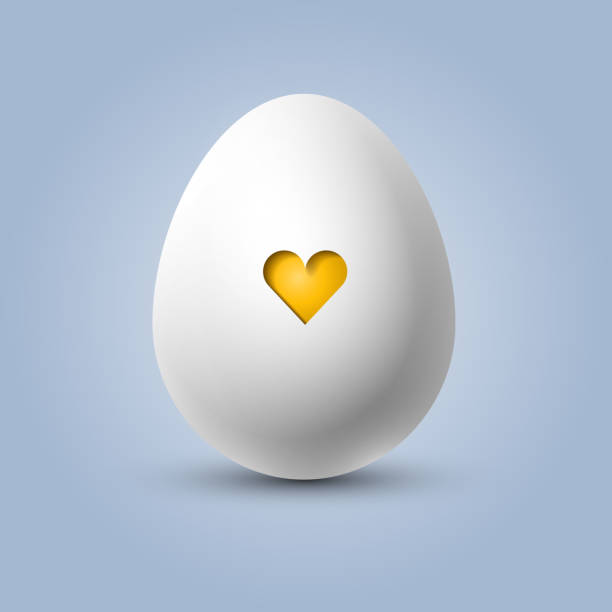 Vector egg with a yellow heart Cute white egg with a yellow heart in the shell, easter or valentine's egg, concept of newborn and pregnancy egg stock illustrations