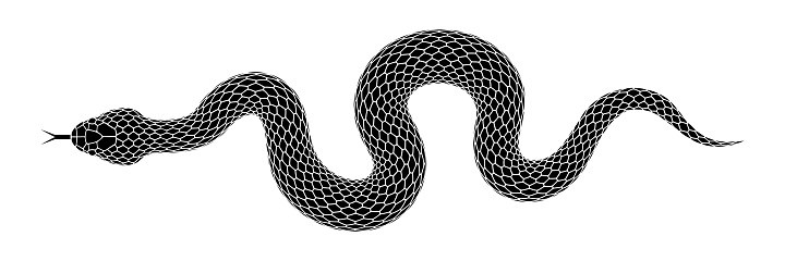 Vector elongated snake silhouette illustration. Black serpent tattoo design isolated on white background.