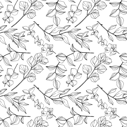 Vector Eucalyptus tree leaves jungle botanical. Black and white engraved ink art. Seamless background pattern. Fabric wallpaper print texture.