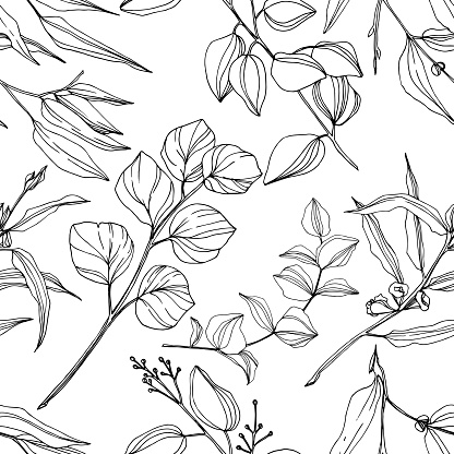 Vector Eucalyptus tree leaves jungle botanical. Black and white engraved ink art. Seamless background pattern.