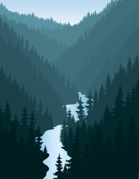 vector evening in beautiful mountains forest with river vector evening in beautiful mountains forest with river river silhouettes stock illustrations