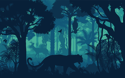 Vector evening tropical rainforest Jungle background with jaguar, harpy eagle, toucan, deer and hog